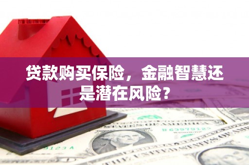 梁平贷款购买保险，金融智慧还是潜在风险？