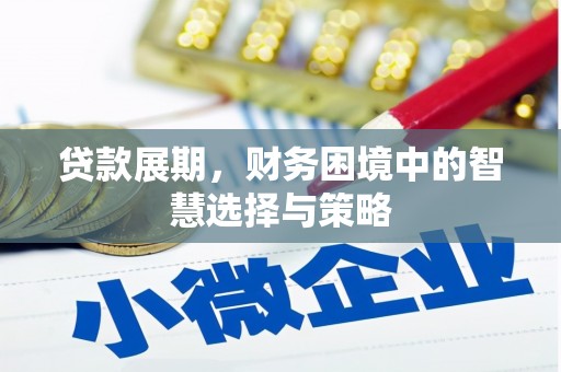 梁平贷款展期，财务困境中的智慧选择与策略