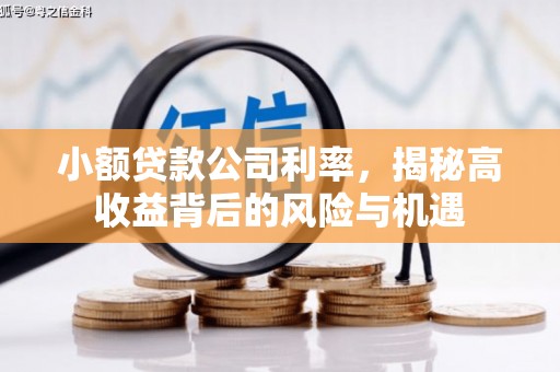 梁平小额贷款公司利率，揭秘高收益背后的风险与机遇