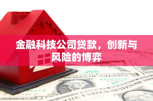 梁平金融科技公司贷款，创新与风险的博弈