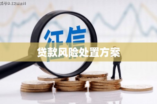梁平贷款风险处置方案