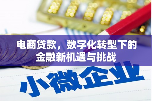 梁平电商贷款，数字化转型下的金融新机遇与挑战