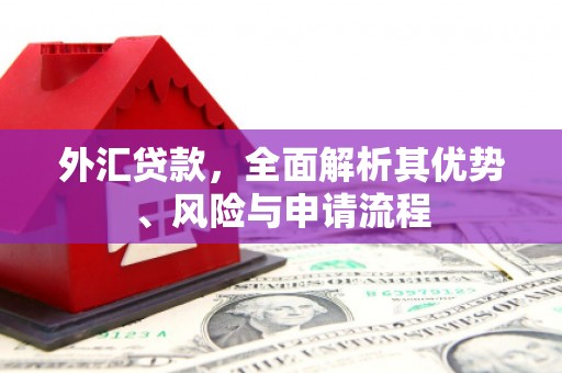 梁平外汇贷款，全面解析其优势、风险与申请流程
