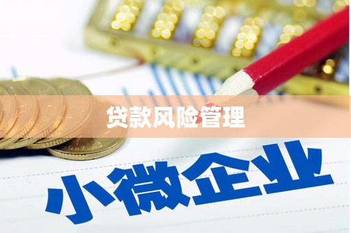 梁平贷款风险管理