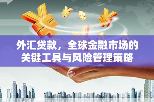 梁平外汇贷款，全球金融市场的关键工具与风险管理策略