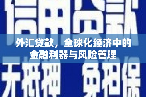 梁平外汇贷款，全球化经济中的金融利器与风险管理