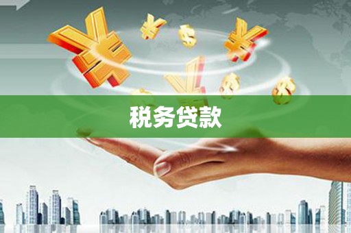 梁平税务贷款