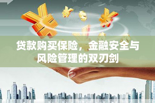 梁平贷款购买保险，金融安全与风险管理的双刃剑