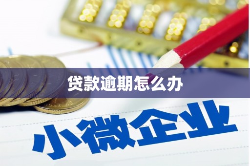 梁平贷款逾期怎么办