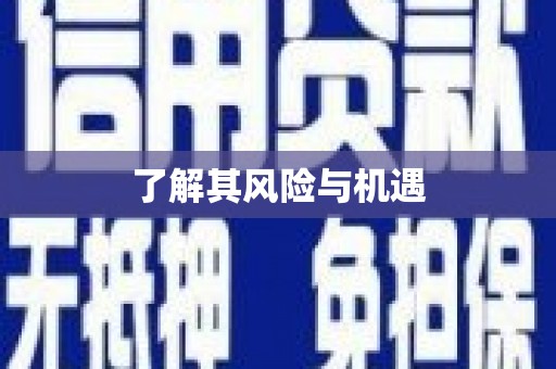 梁平了解其风险与机遇