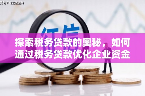 梁平探索税务贷款的奥秘，如何通过税务贷款优化企业资金流