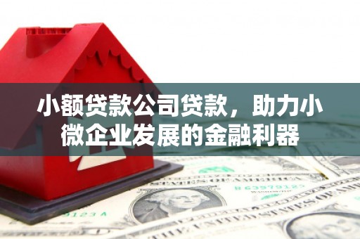 梁平小额贷款公司贷款，助力小微企业发展的金融利器