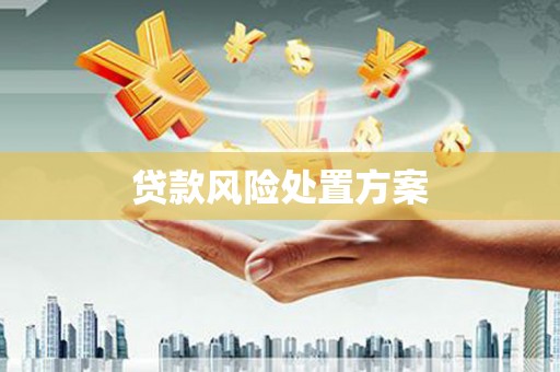 梁平贷款风险处置方案