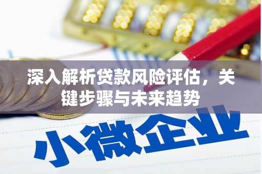 梁平深入解析贷款风险评估，关键步骤与未来趋势