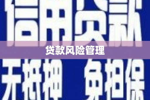 梁平贷款风险管理