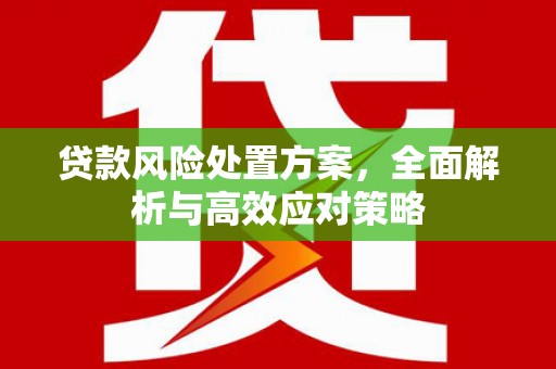 梁平贷款风险处置方案，全面解析与高效应对策略