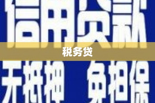 梁平税务贷