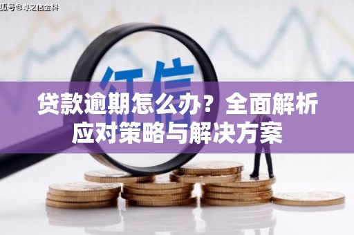 梁平贷款逾期怎么办？全面解析应对策略与解决方案