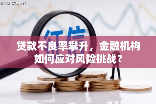 梁平贷款不良率攀升，金融机构如何应对风险挑战？