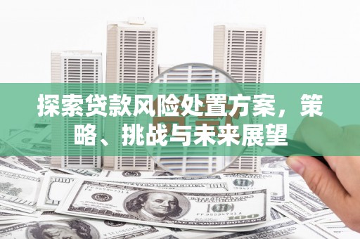梁平探索贷款风险处置方案，策略、挑战与未来展望