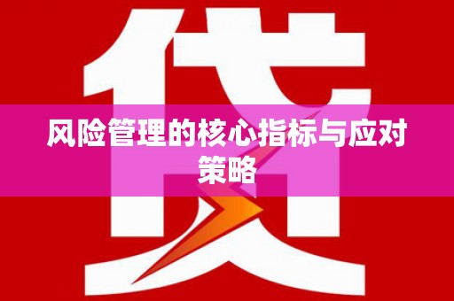 梁平风险管理的核心指标与应对策略