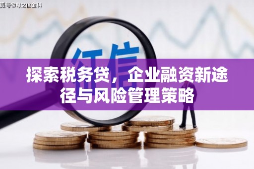 梁平探索税务贷，企业融资新途径与风险管理策略