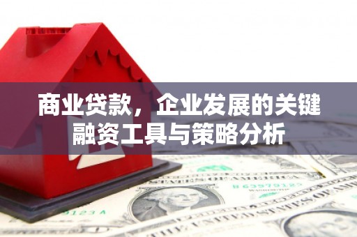 梁平商业贷款，企业发展的关键融资工具与策略分析