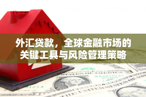 梁平外汇贷款，全球金融市场的关键工具与风险管理策略