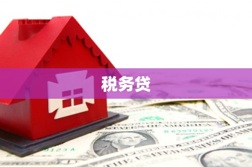 梁平税务贷