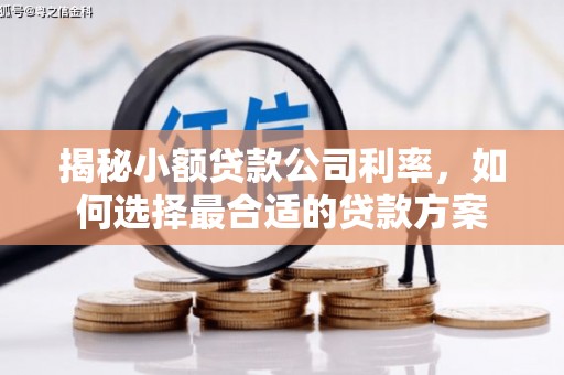 梁平揭秘小额贷款公司利率，如何选择最合适的贷款方案