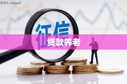 梁平贷款养老