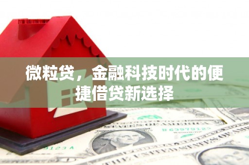 梁平微粒贷，金融科技时代的便捷借贷新选择