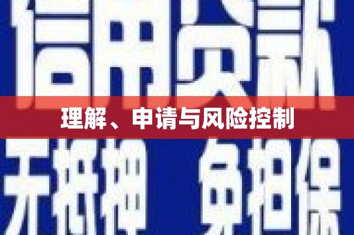 梁平理解、申请与风险控制