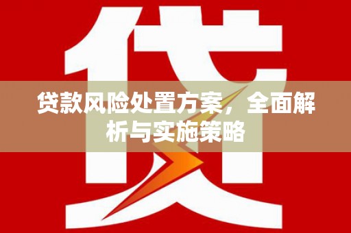 梁平贷款风险处置方案，全面解析与实施策略