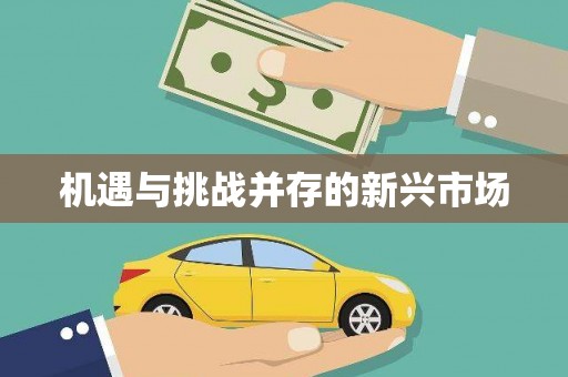 梁平机遇与挑战并存的新兴市场