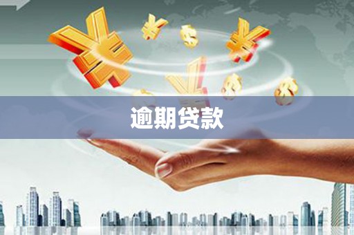 梁平逾期贷款
