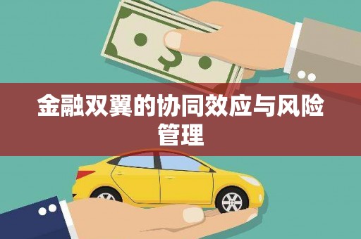 梁平金融双翼的协同效应与风险管理