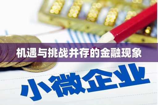 梁平机遇与挑战并存的金融现象